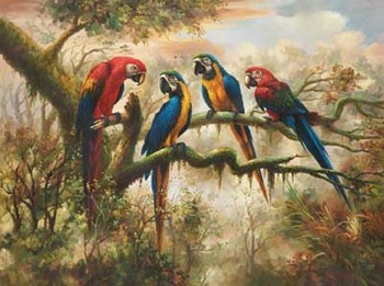 Művészeti nyomat MACAW MORNING