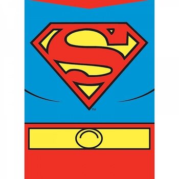 Calamita Superman - Costume