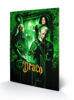 Tavla i trä Harry Potter - Draco
