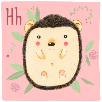 Ilustratie Alphabet - Hedgehog