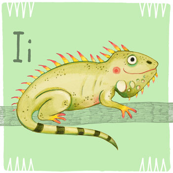 Illustration Alphabet - Iguana