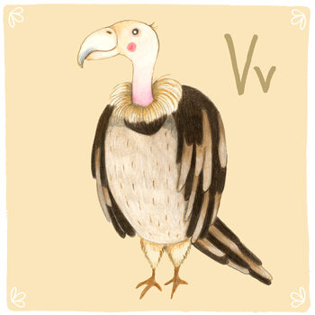 Illustration Alphabet - Vulture