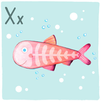 Ilustratie Alphabet - X-Ray-Fish