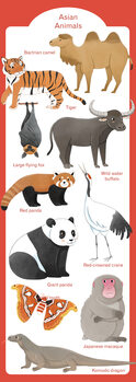 Ilustrácia Asian Animals