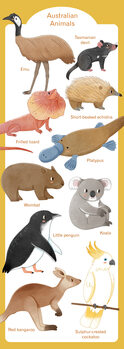 Illustrazione Australian Animals
