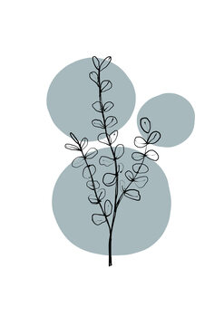 Illustration Delicate Botanicals - Eucalyptus