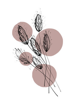 Ilustracija Delicate Botanicals - Wheat