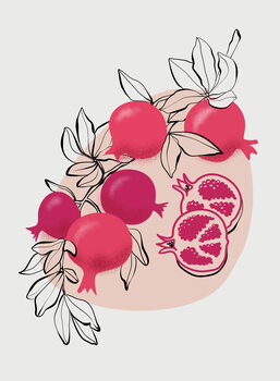 Ilustracja Fathia pomegranates