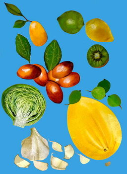 Artă imprimată Fruit & veggies 2020