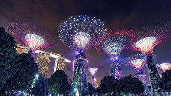 Photographie artistique Gardens By The Bay