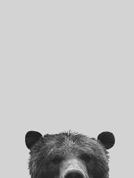 Leinwand Poster Grey bear
