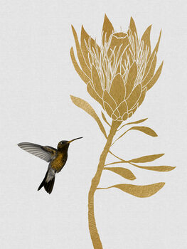 Ilustratie Hummingbird & Flower I