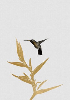 Ilustratie Hummingbird & Flower II