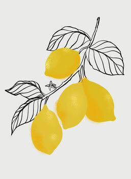 Stampa su tela Lamya lemons