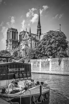 Ilustrace PARIS Cathedral Notre-Dame | monochrome