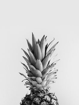 Ilustracija pineappleblackandwhite