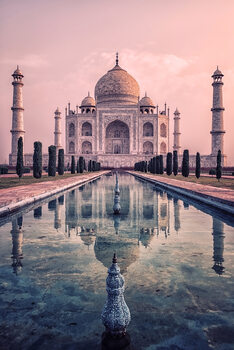 Konstfotografering Pink Taj