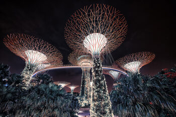 Umělecká fotografie Singapore Night