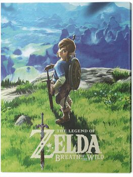 Cuadro en lienzo The Legend of Zelda: Breath of The Wild - View