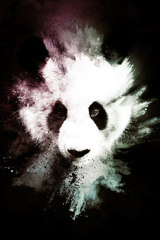 Illustrazione The Panda