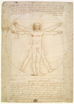 Stampa artistica The Proportions of the human figure , c.1492