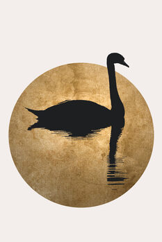 Lámina The Swan