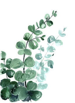 Print op canvas Watercolor eucalyptus bouquet