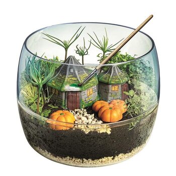 Creative kit Harry Potter - Terrarium