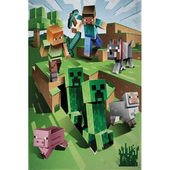 Takaró Minecraft - Overworld