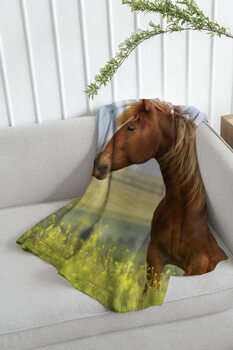 одеяло Horse
