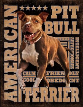 Metalowa tabliczka American Pitbull