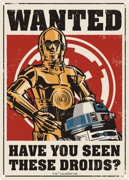 Metalskilt Star Wars - Droids