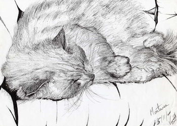 Obraz na plátně montwee, 2000,