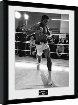 Inramad poster Muhammad Ali - Shadow Box