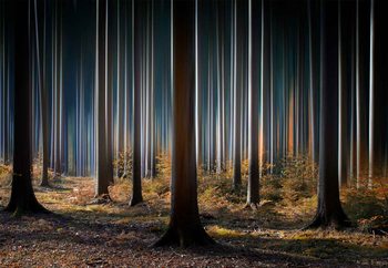 Ταπετσαρία τοιχογραφία  Mystic Wood