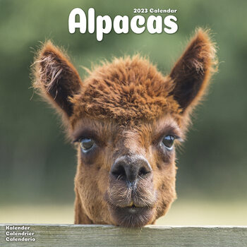 Naptár 2027 Alpacas