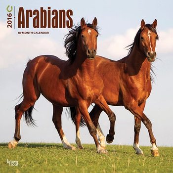 Naptár 2027 Arab telivér