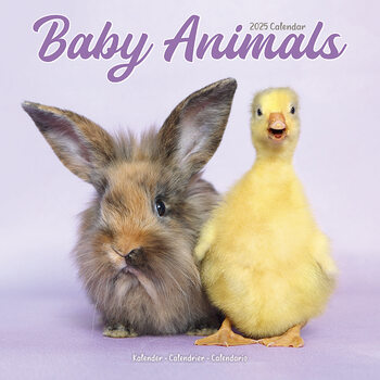 Naptár 2027 Baby Animals