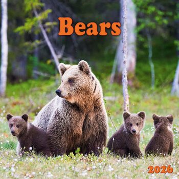 Naptár 2026 Bears