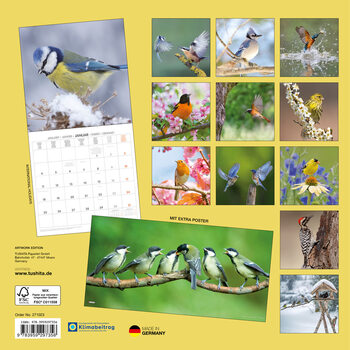 Naptár 2027 Birds