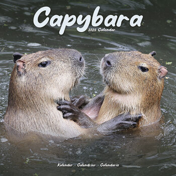 Naptár 2025 Capybara