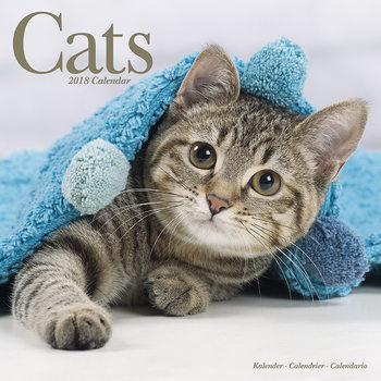Naptár 2027 Cats