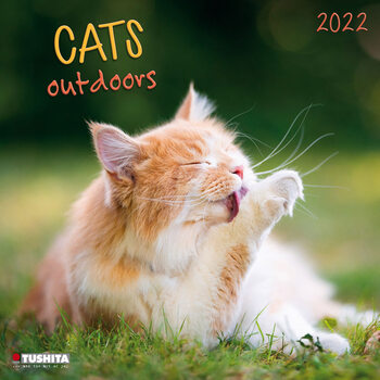 Naptár 2027 Cats Outdoors