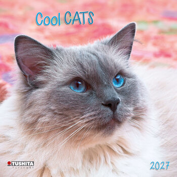 Naptár 2027 Cool Cats | 16 hónapos