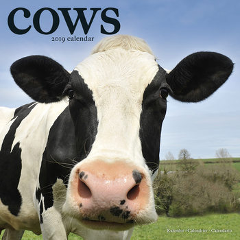 Naptár 2027 Cows