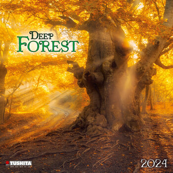 Naptár 2024 Deep Forest
