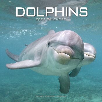 Naptár 2027 Dolphins