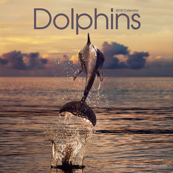 Naptár 2027 Dolphins