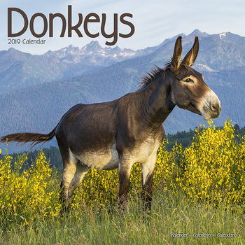Naptár 2027 Donkeys