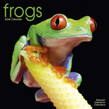 Naptár 2027 Frogs